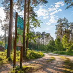 Atrakcje dla dzieci w Białowieży: Niezapomniane przygody w puszczy