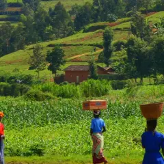 Czy Rwanda jest bezpieczna? Aktualne porady i zagrożenia dla podróżujących