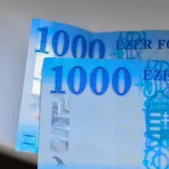 Jaka waluta obowiązuje na Węgrzech? Wszystko o forincie węgierskim i wymianie