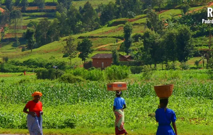 Czy Rwanda jest bezpieczna? Aktualne porady i zagrożenia dla podróżujących